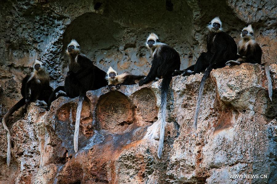 China's first nature image record released