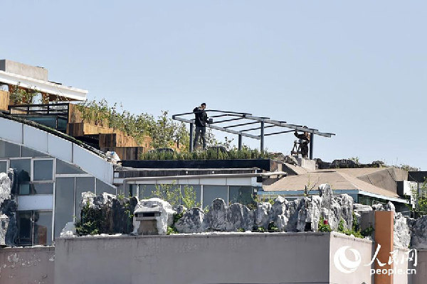 Plants seen on apartment roof where illegal villa once stood