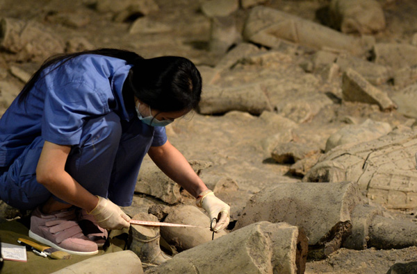 China starts new terra cotta army dig