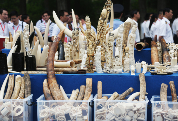 China destroys 662 kg of illegal ivory