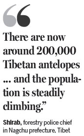 Tibetan antelope off danger list