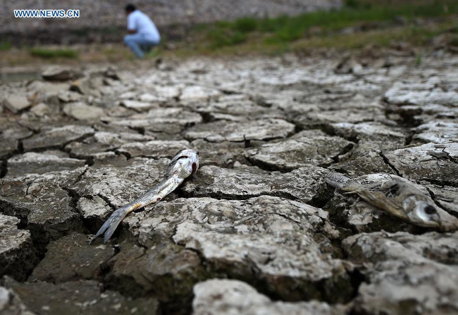 Drought hits NE China
