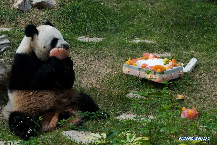 Children celebrate birthday of panda Kaikai in Macao