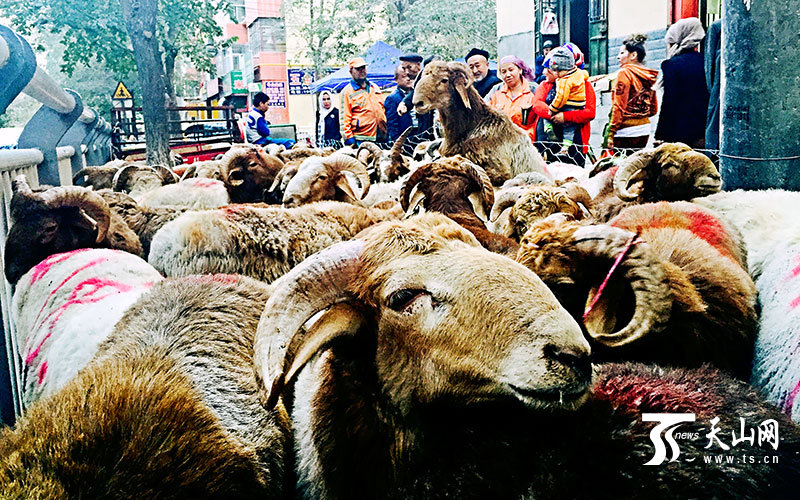 In pics: Urumqi festival atmosphere brimming over