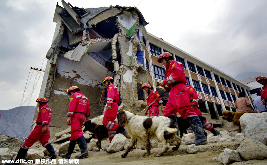 Four-legged friends prove invaluable in disaster zones