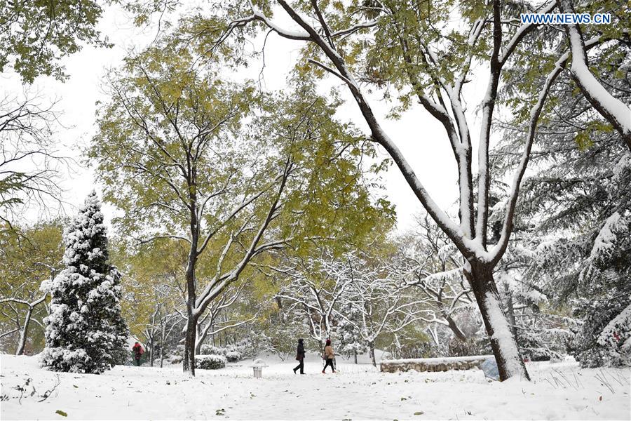 Heavy snowfall hits vast area of N China