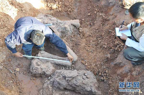 180-million-year dinosaur fossils excavated in Yunnan