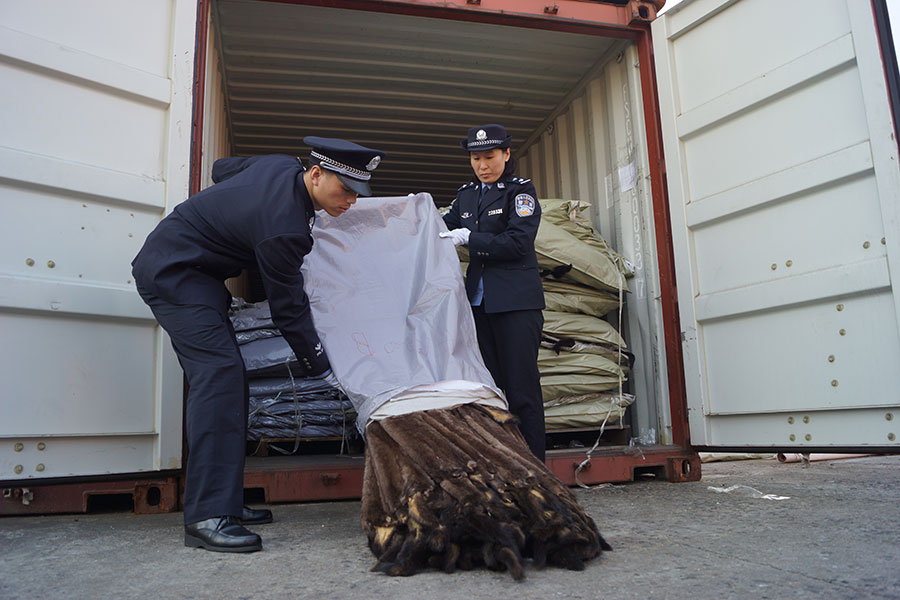 80,000 pieces of marten fur seized by Shanghai customs