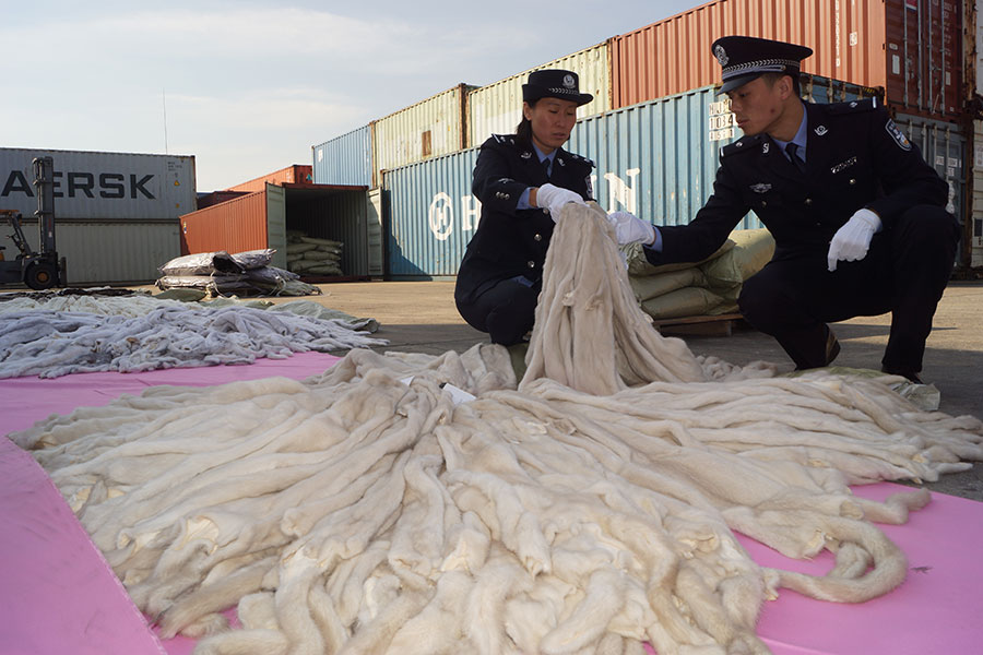 80,000 pieces of marten fur seized by Shanghai customs