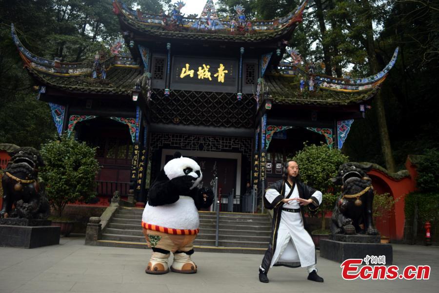 Kung Fu Panda hones skills from master