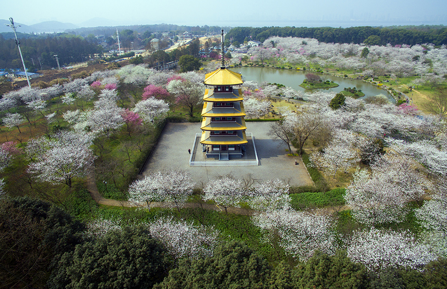 Discover beautiful China in spring blossom (V)