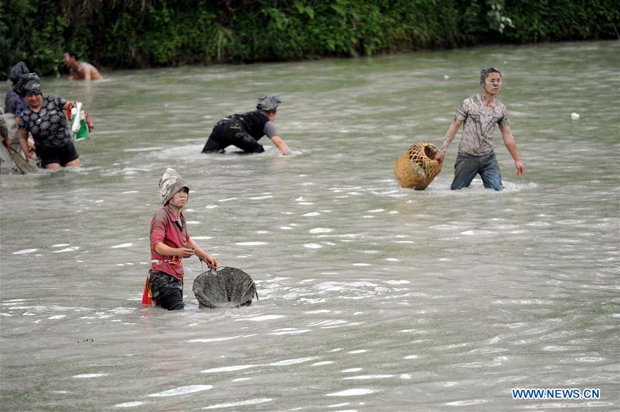 Fish-catching contest held in SW China