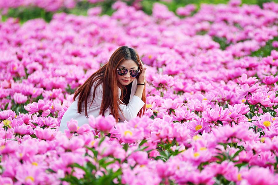 Pink, white and red petals in full bloom