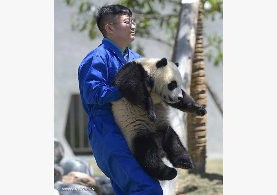 Wolong National Nature Reserve officially operates in Sichuan