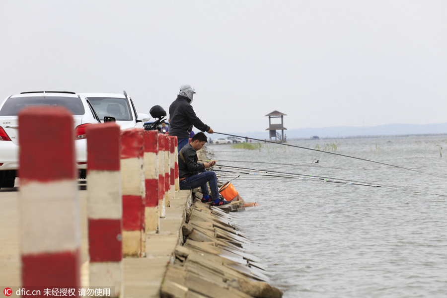 Walking along a 'water' highway on Poyang Lake