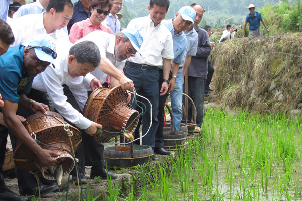 1,000-year-old agricultural practice, China's solution to sustainable farming