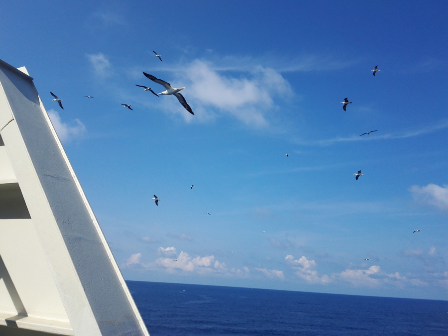 Sailing to Xisha Islands