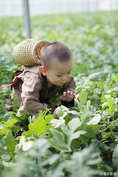 Cute watermelon baby goes viral