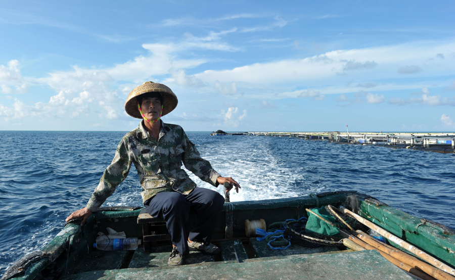 Commercial fish cultured at farm in Meiji Reef of South China Sea
