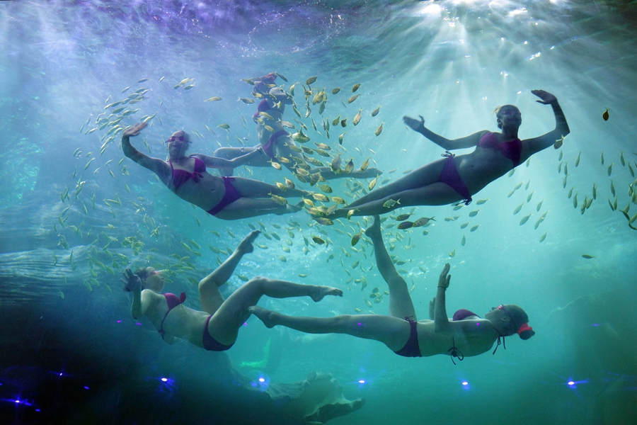 'Mermaids', dancers and whales create a splash at Guizhou's ocean park