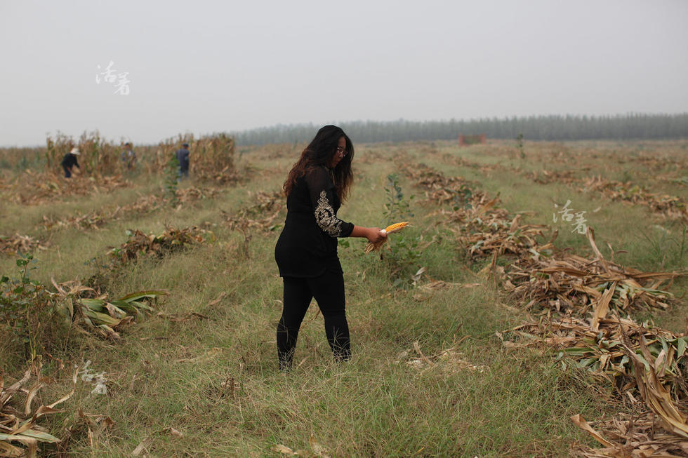 Post-80s woman makes a fortune in camel business