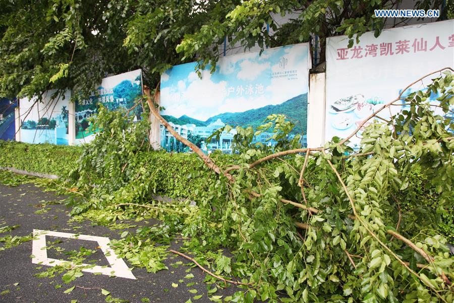 South China's Hainan affected by typhoon 'Dianmu'