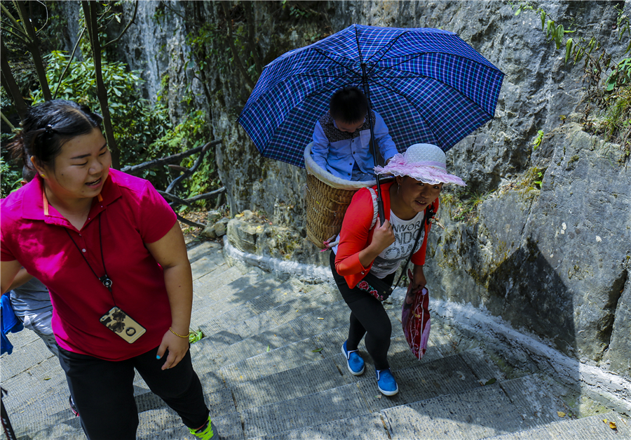 Back basket: New money-making tool in scenic spot