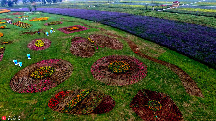 Henan's huge flower field spreads its scent far and wide