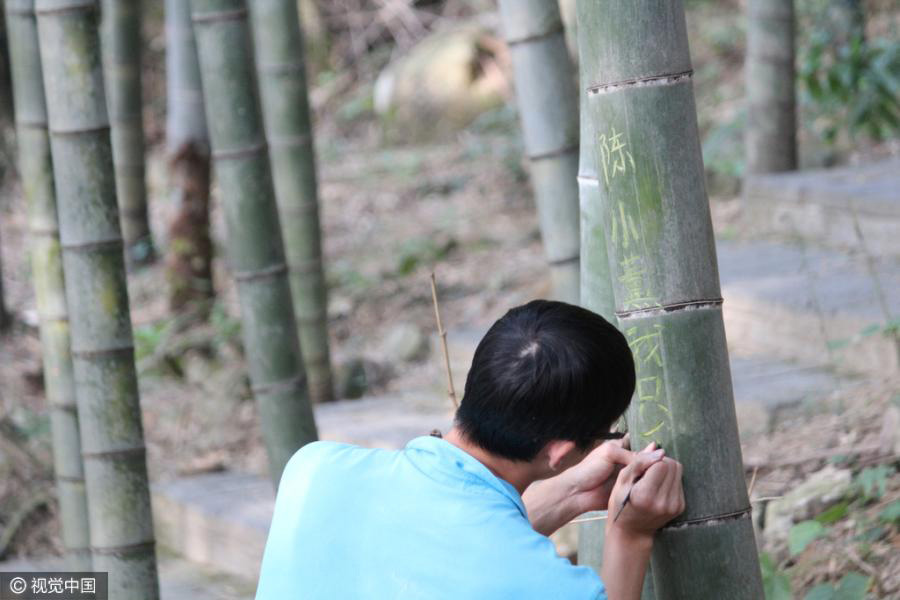 Graffiti on bamboo welcome here