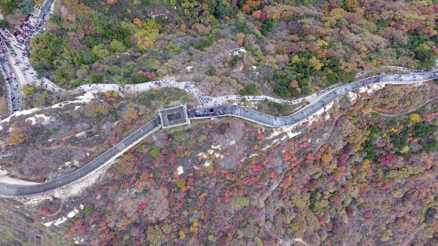 Colorful leaves adorn Great Wall in Beijing