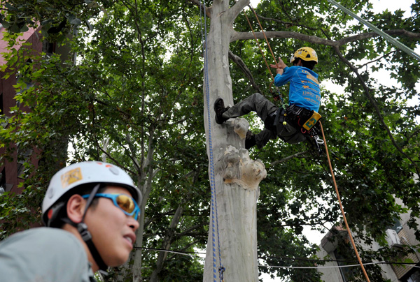 Chen Guan Xi - Northwest University introduces tree-climbing  course|Society|chinadaily.com.cn