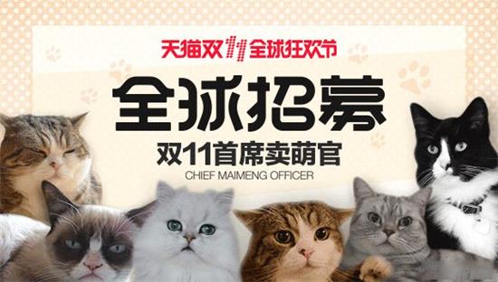 Online shopping platform selects cat as 'chief cute officer'