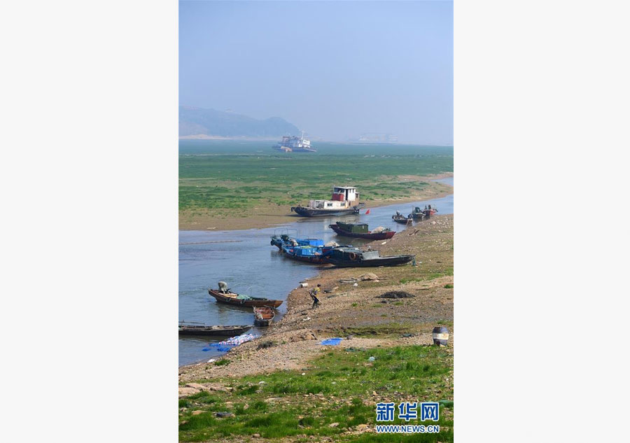 China's largest freshwater lake turns into prairie