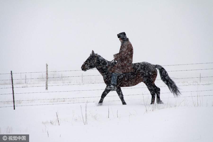 Snow storm hits Xinjiang