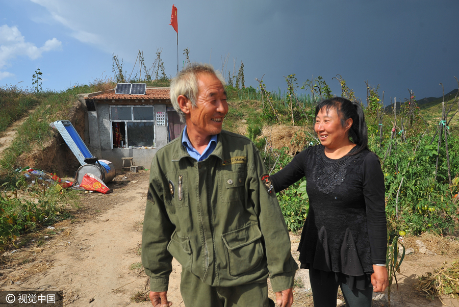 Man plants 500,000 trees over 26 years