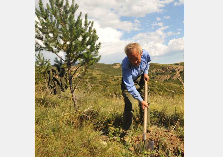 Man plants 500,000 trees over 26 years