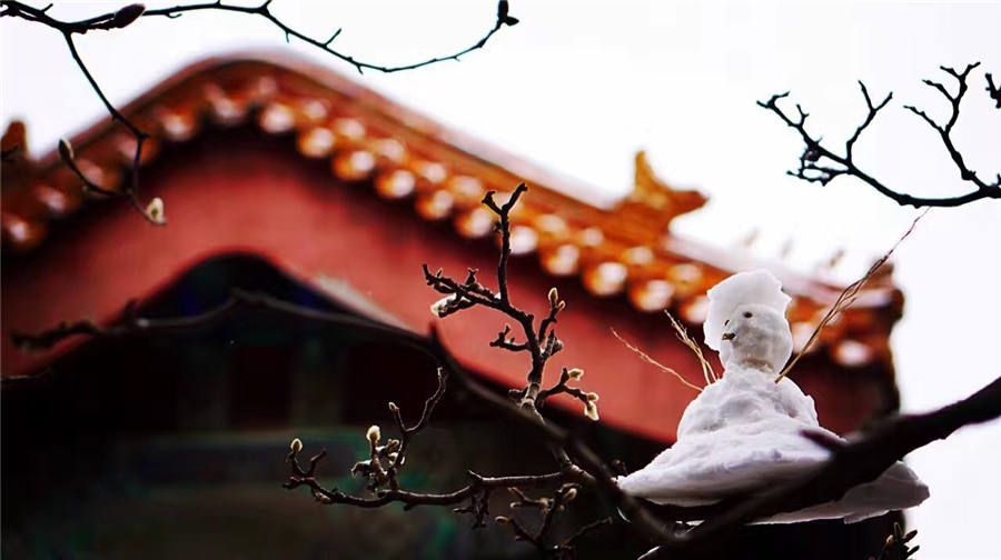 Spring snow blankets Forbidden City