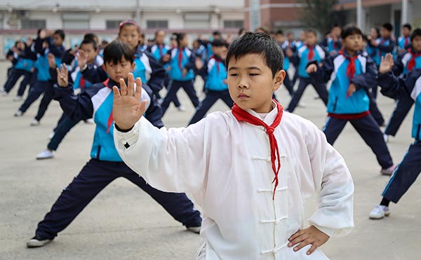 Tai chi pitched for UNESCO list