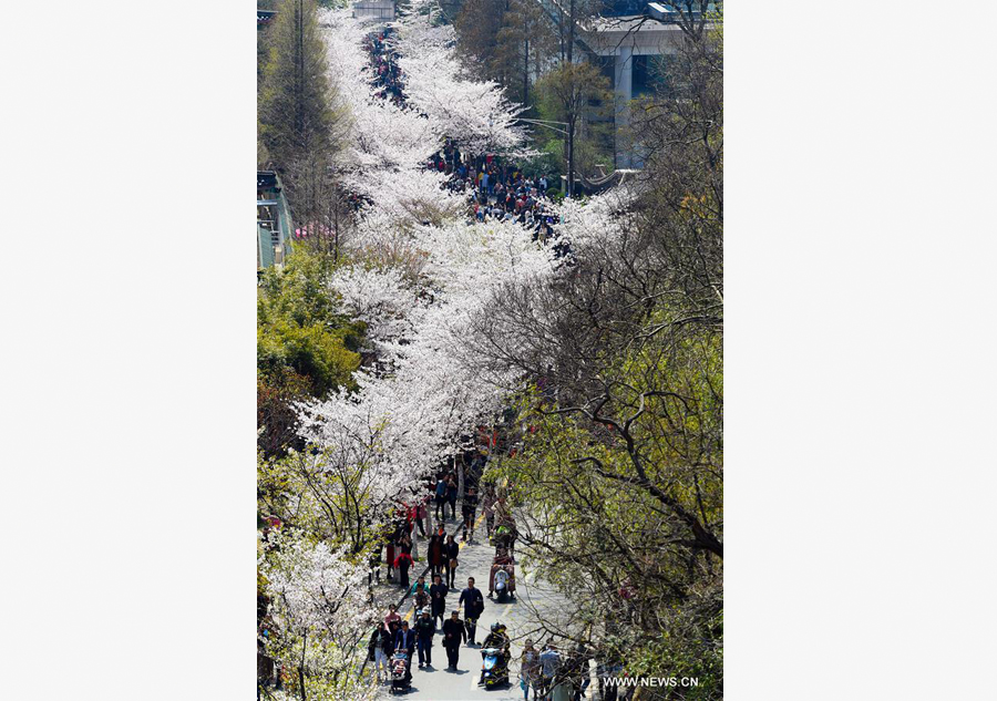 Spring scenery across China