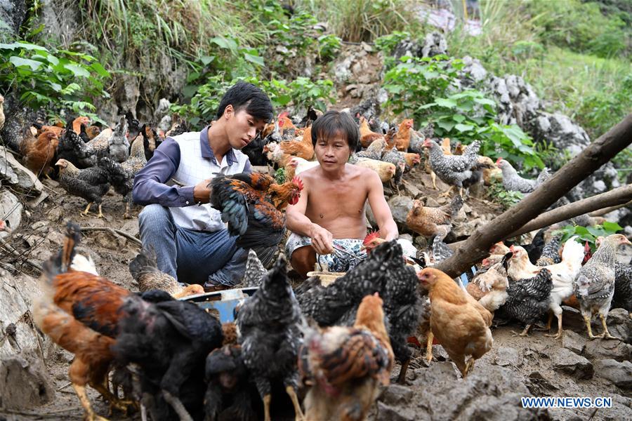 Poverty alleviation projects carried out in China's Guangxi