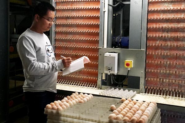 Master's grad finds passion in poultry farm