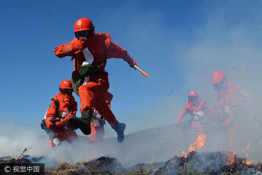 Inner Mongolia holds forest fire prevention drill