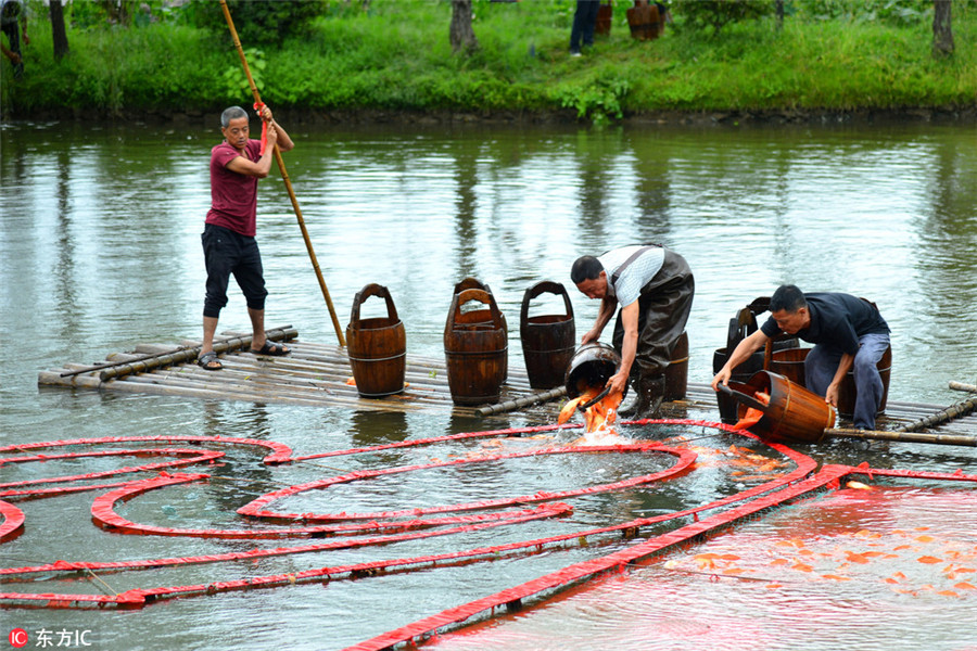 Farmers 'draw' love to motherland with red carps in river
