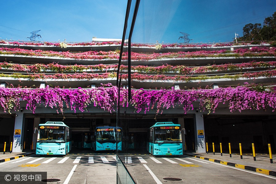 Azalea turns parking building into fairy world