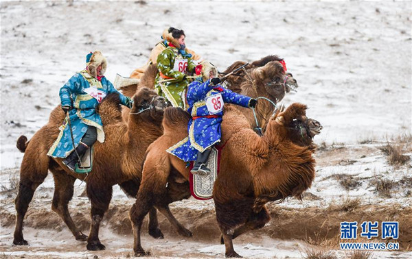 Naadam fair injects new life into pastoral areas