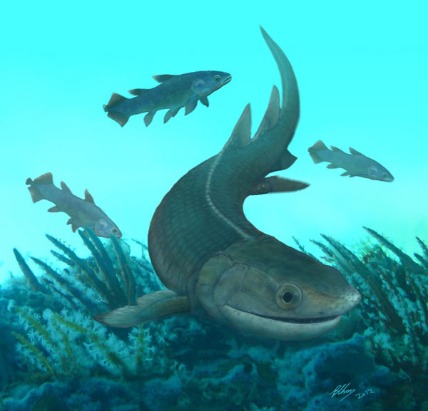 China discovers earliest 4-legged animal fossil