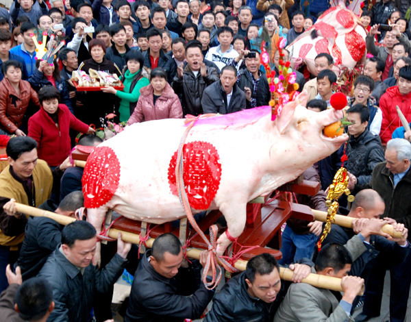 Big pig heralds in year of the snake