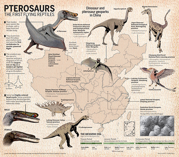 Pterosaurs take flight from the sands of time