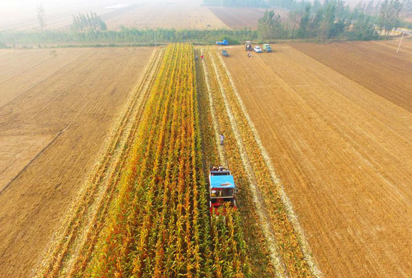 China promotes transfer of farmland use right