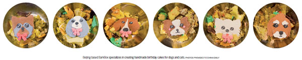 Gastronomic meals, for furkids